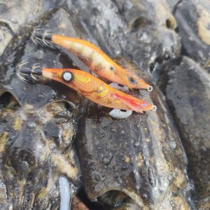 Inicio 23 Potera Kanji Clicks Prospec 2.5